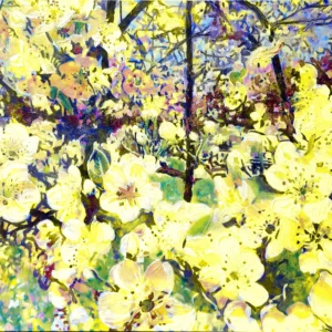 Bradford Pear Blossoms - Edition in Yellow
