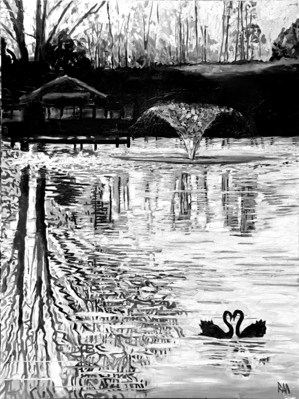 Pair of Black Swans - Black & White Edition