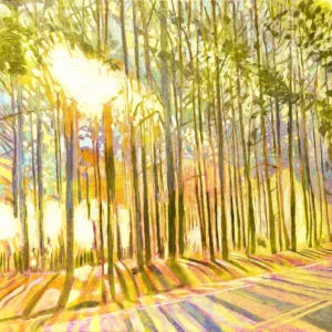 Duke Forest - Edition in Yellow