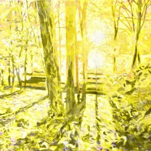 Canoe Racks at Sunset Lake - Edition in Yellow